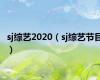 sj综艺2020（sj综艺节目）