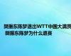 樊振东陈梦退出WTT中国大满贯 樊振东陈梦为什么退赛