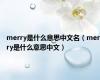 merry是什么意思中文名（merry是什么意思中文）