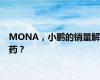 MONA，小鹏的销量解药？