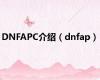 DNFAPC介绍（dnfap）