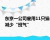 东京一公司雇用11只猫减少“班气”