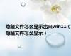 隐藏文件怎么显示出来win11（隐藏文件怎么显示）