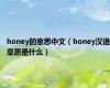 honey的意思中文（honey汉语意思是什么）