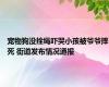 宠物狗没拴绳吓哭小孩被爷爷摔死 街道发布情况通报