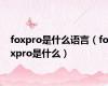 foxpro是什么语言（foxpro是什么）