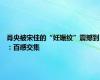 肖央被宋佳的“妊娠纹”震撼到：百感交集