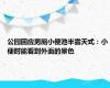 公园回应男厕小便池半露天式：小便时能看到外面的景色