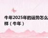 牛年2025年的运势怎么样（牛年）