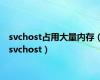 svchost占用大量内存（svchost）