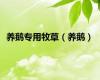 养鹅专用牧草（养鹅）