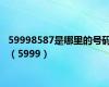 59998587是哪里的号码（5999）