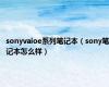 sonyvaioe系列笔记本（sony笔记本怎么样）