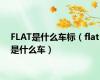 FLAT是什么车标（flat是什么车）