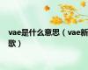 vae是什么意思（vae新歌）