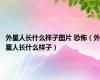 外星人长什么样子图片 恐怖（外星人长什么样子）