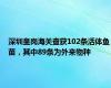 深圳皇岗海关查获102条活体鱼苗，其中89条为外来物种