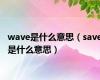 wave是什么意思（save是什么意思）