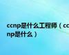 ccnp是什么工程师（ccnp是什么）