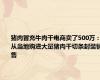 猪肉冒充牛肉干电商卖了500万：从当地购进大量猪肉干切条封装销售