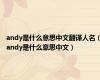 andy是什么意思中文翻译人名（andy是什么意思中文）