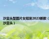 沙宣头型图片女短发2023新款（沙宣头）