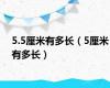 5.5厘米有多长（5厘米有多长）