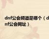 dnf公会频道是哪个（dnf公会网址）