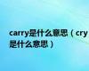 carry是什么意思（cry是什么意思）