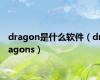 dragon是什么软件（dragons）