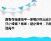 游客在福建南平一家餐厅吃出近20只小蟑螂？商家：是小意外，已处理完毕