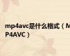 mp4avc是什么格式（MP4AVC）