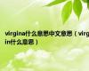 virgina什么意思中文意思（virgin什么意思）