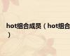 hot组合成员（hot组合）