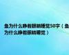 鱼为什么睁着眼睛睡觉50字（鱼为什么睁着眼睛睡觉）