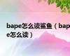 bape怎么读鲨鱼（bape怎么读）