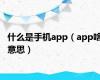 什么是手机app（app啥意思）