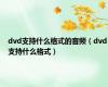 dvd支持什么格式的音频（dvd支持什么格式）