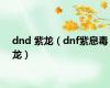 dnd 紫龙（dnf紫息毒龙）