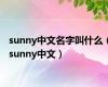 sunny中文名字叫什么（sunny中文）