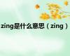 zing是什么意思（zing）