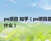 px项目 知乎（px项目是什么）