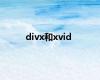 divx和xvid