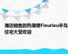 海边销售的热潮使Fleurieu半岛住宅大受欢迎